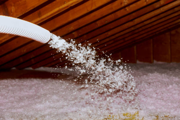 Best Insulation Installation Services in West Belmar, NJ